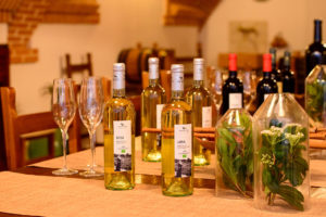what to do in gallura